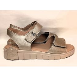 Vinceza SG-79540 złoto