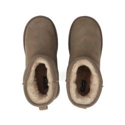 Filippo DBT7329 beż (taupe)