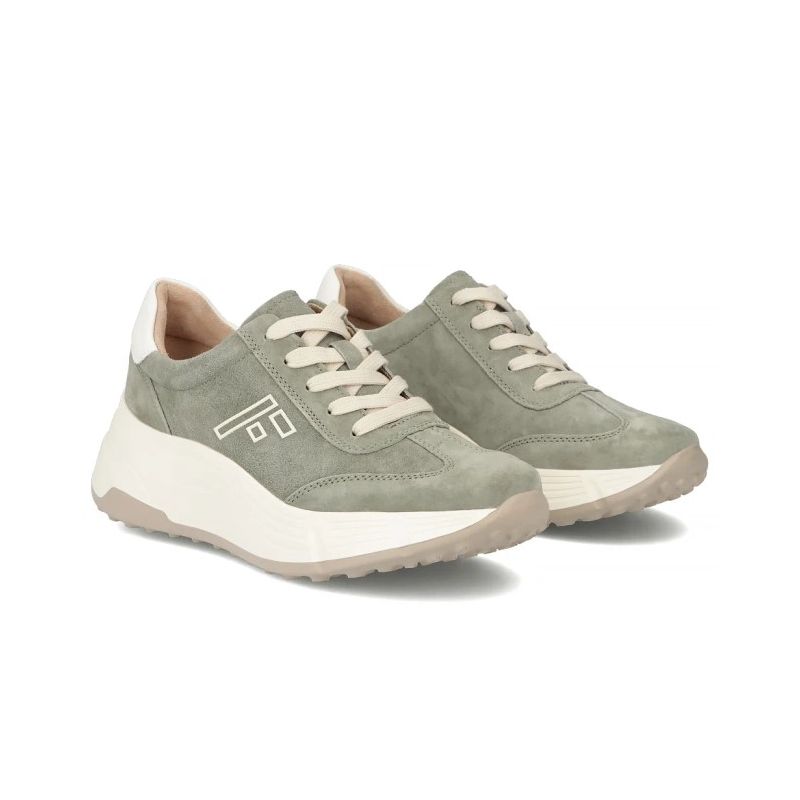 Filippo DP7496 zielony